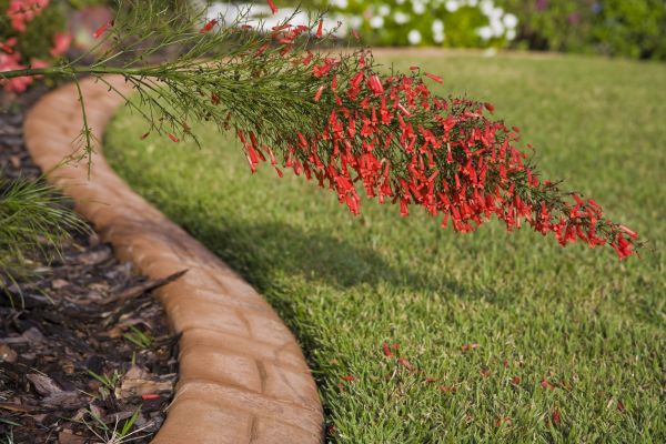 Brick Edging in Boulder