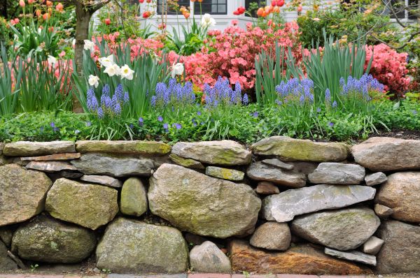 Stone Wall Hardscaping in Boulder